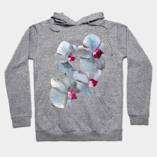 orchid flowers Hoodie